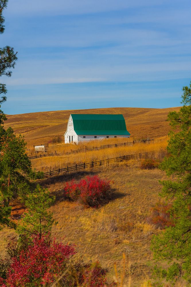 White barn in fall