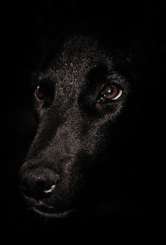 Фотография автора Григорий Червяков