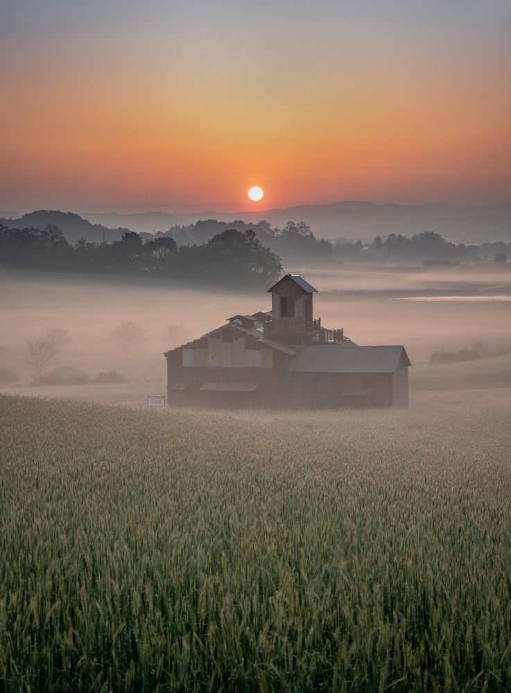 Photograph by NGUYEN NGOC SON