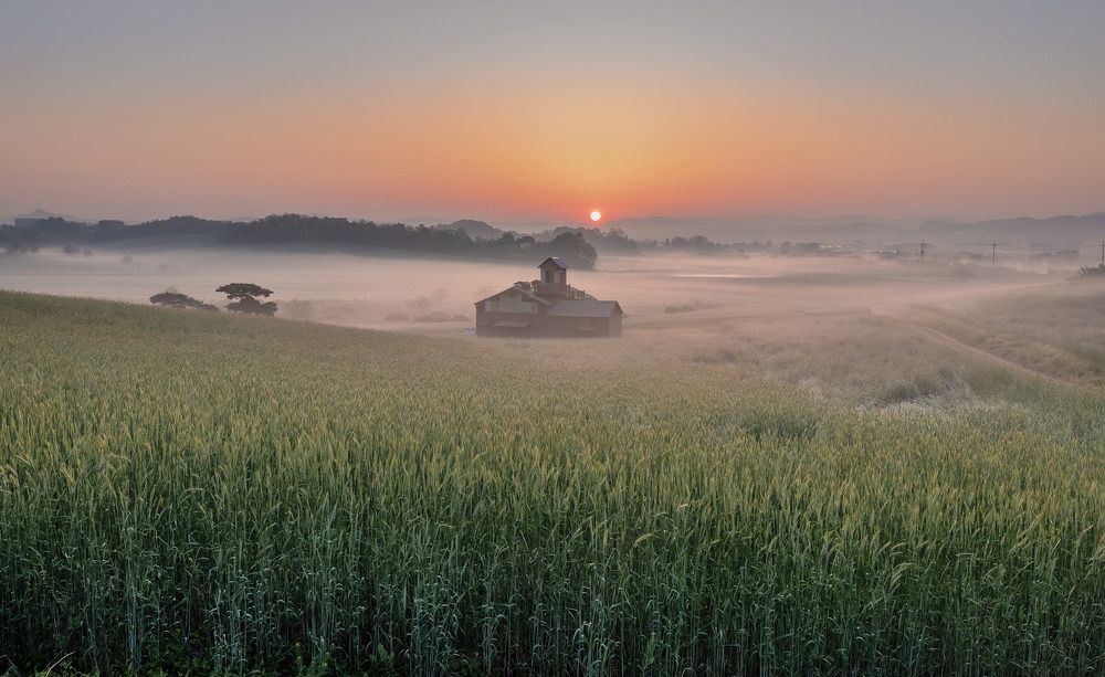 Фотография автора NGUYEN NGOC SON