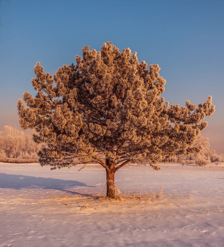 Фотография автора Григорий Червяков