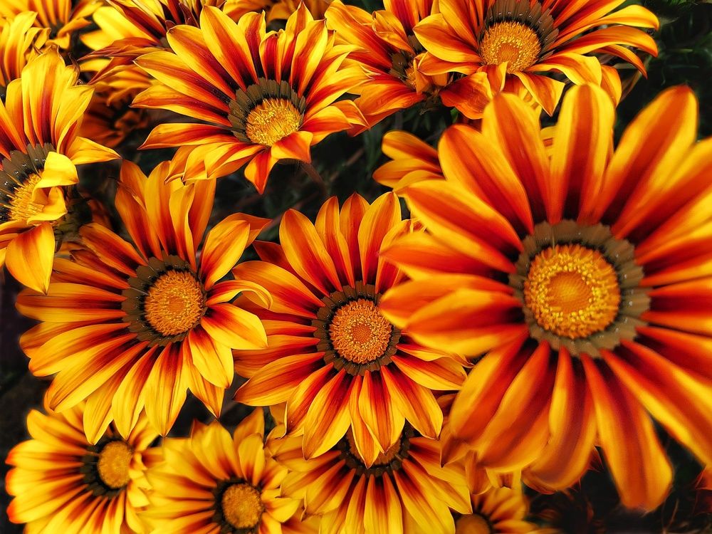 Photograph by Марина Моссий