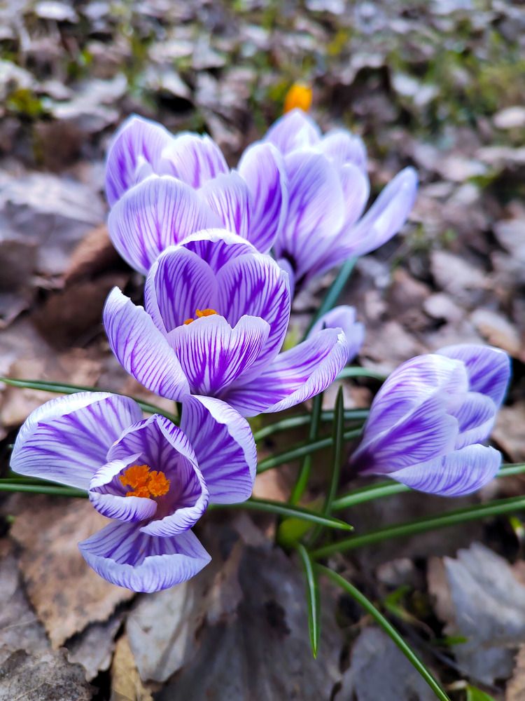 Photograph by Марина Моссий