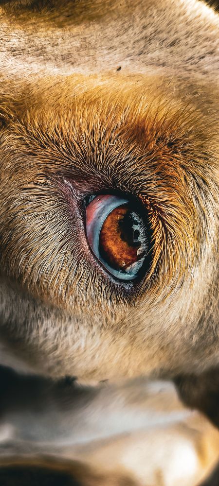 Photograph by Rohit Kumar