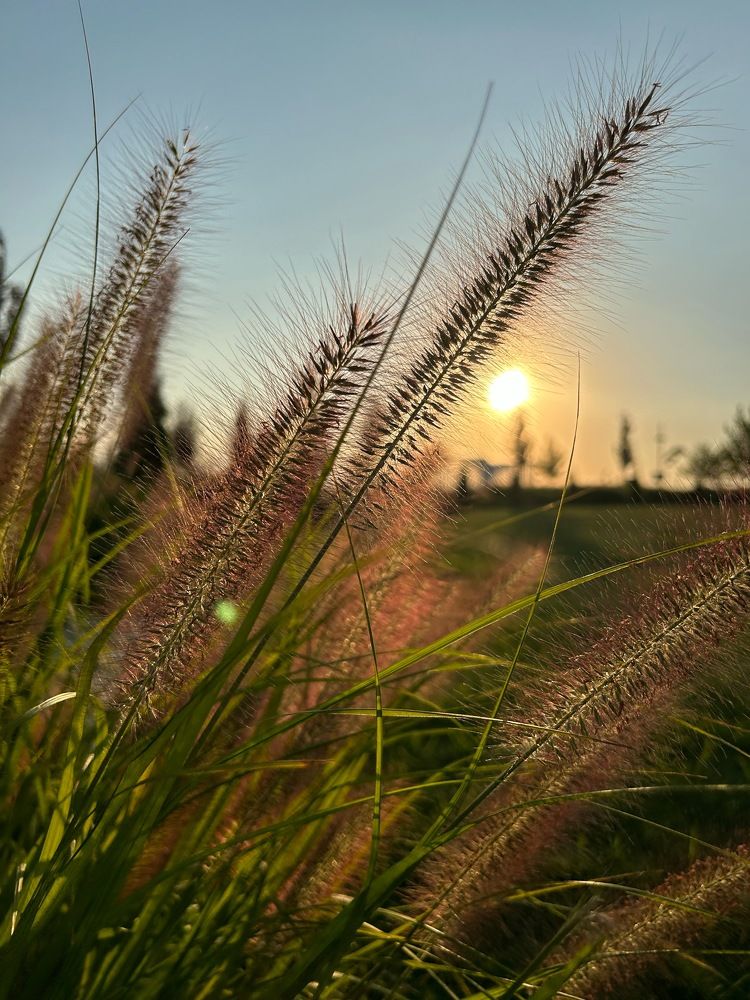 Photograph by Жанна Черурнова