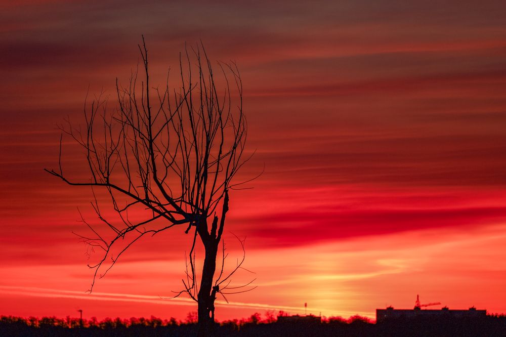 Photograph by Сергей Конюшенко