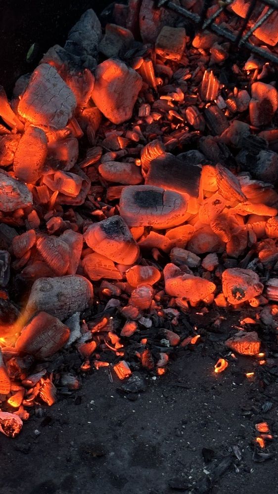 Photograph by гульчачак яруллина