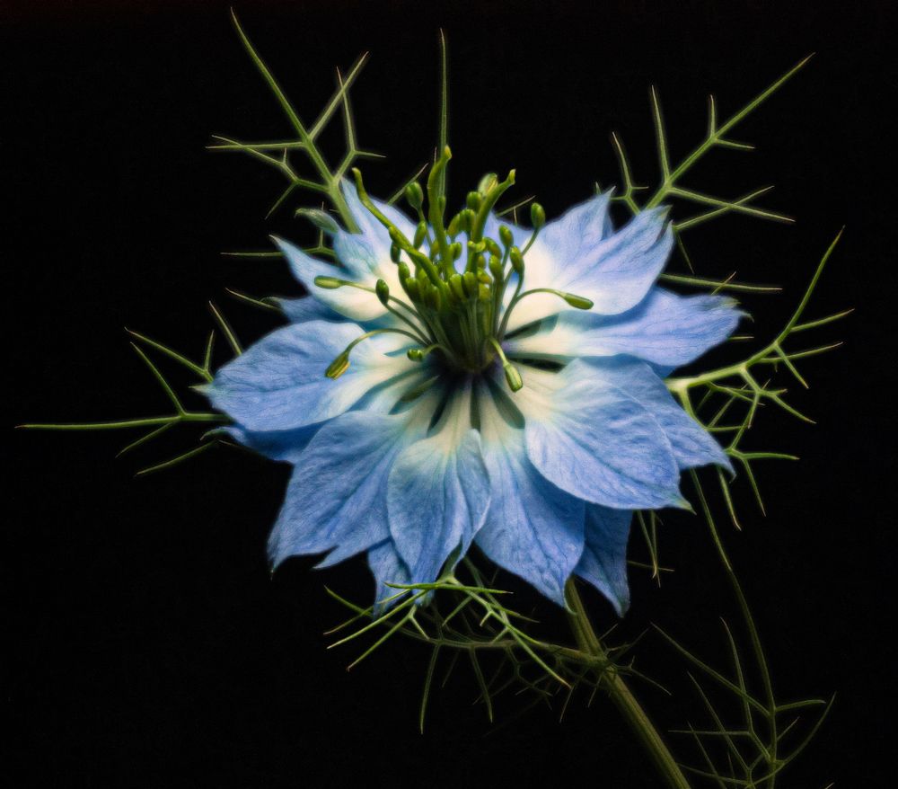 Photograph by Сергей Христинич