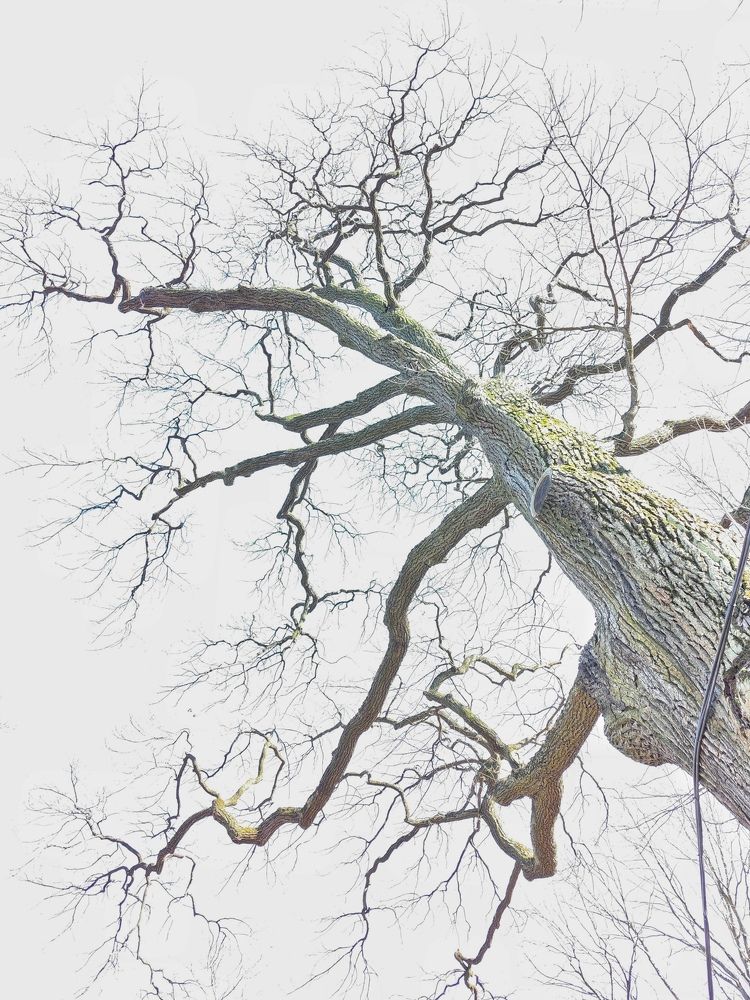 Photograph by Светлана Захарова