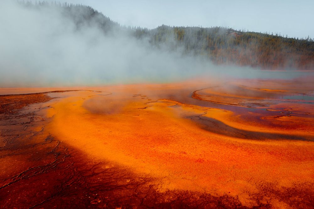 Photograph by Nicolas Bernal