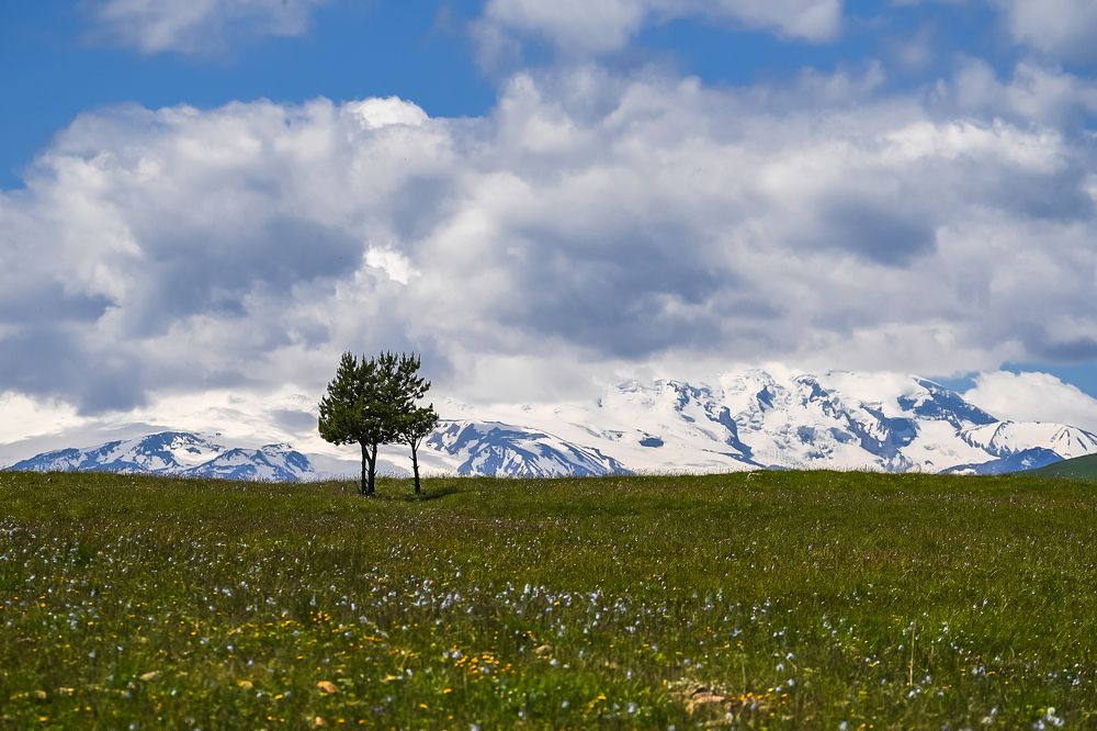 Photograph by Александр Шершнев