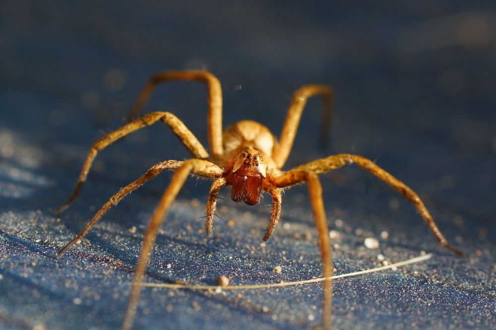 Photograph by Алексей Андреев