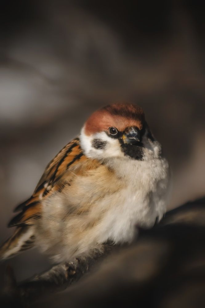 Photograph by Yuliya Karpova