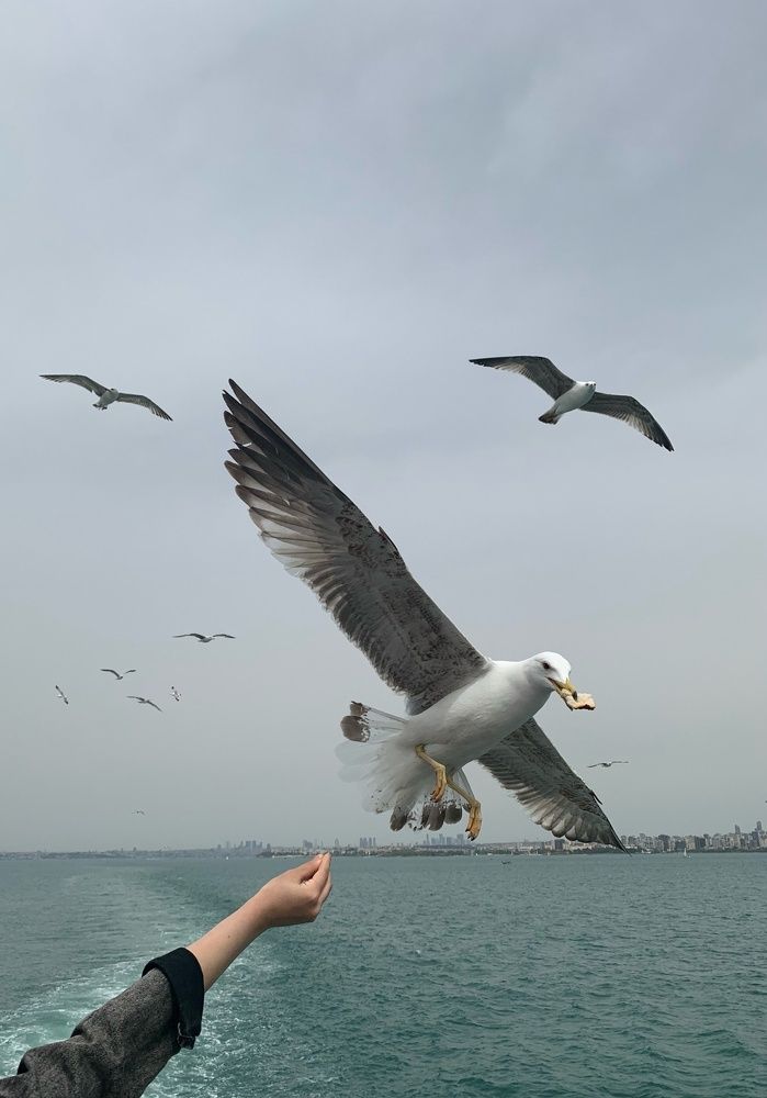 Photograph by Евгений Бирюков