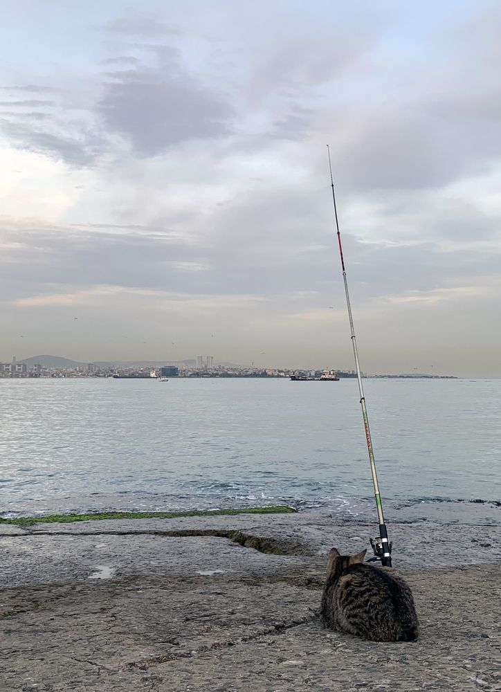 Photograph by Евгений Бирюков