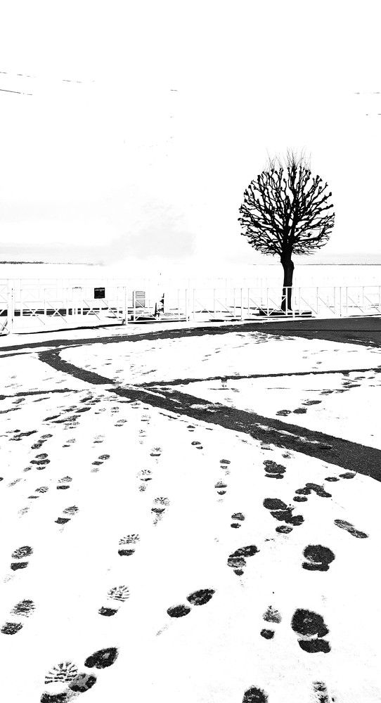 Photograph by Галина Воеводенко