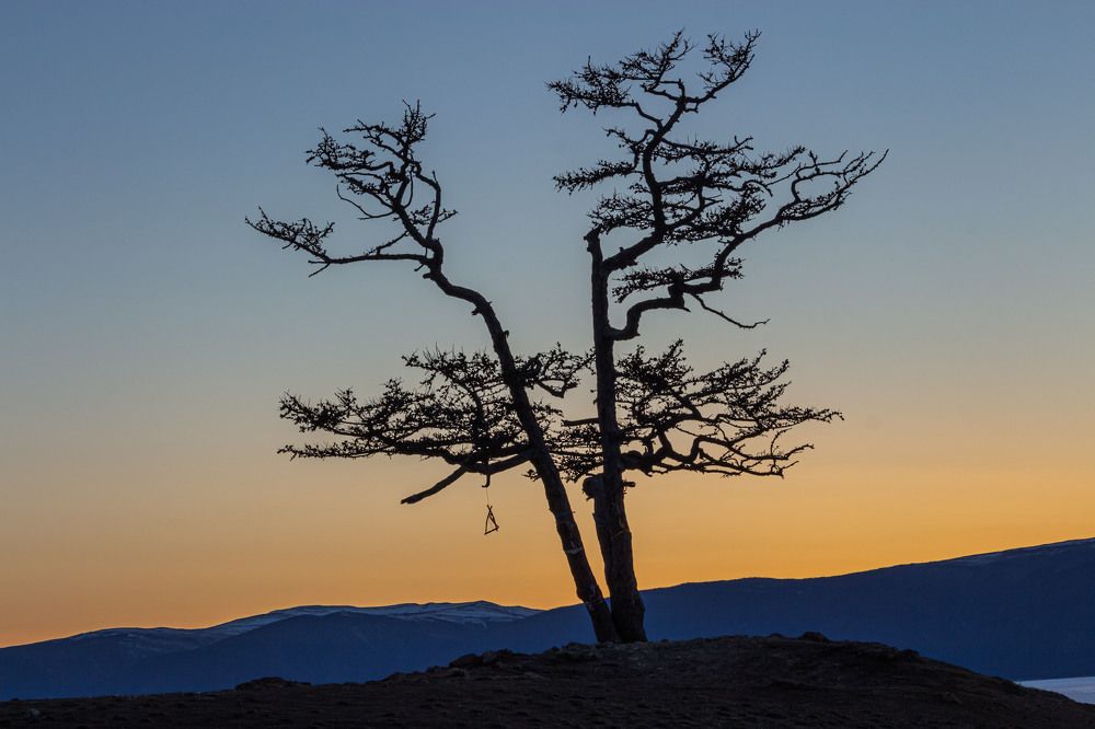 Фотография автора Александр Довганюк