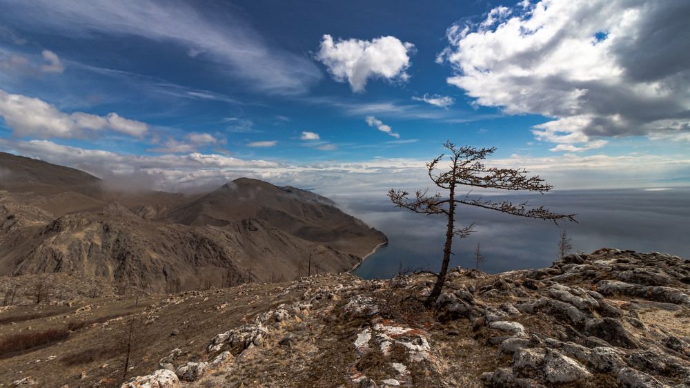 Фотография автора Александр Довганюк