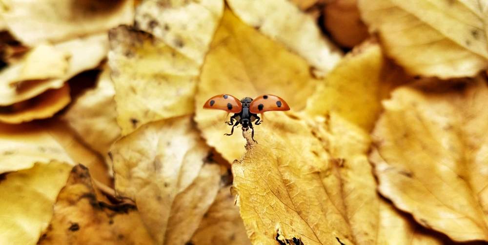 Фотография автора Jacky LAM