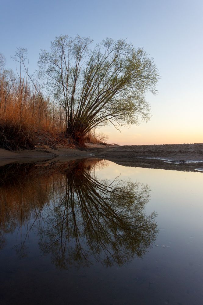 Photograph by Efremenko Nikita