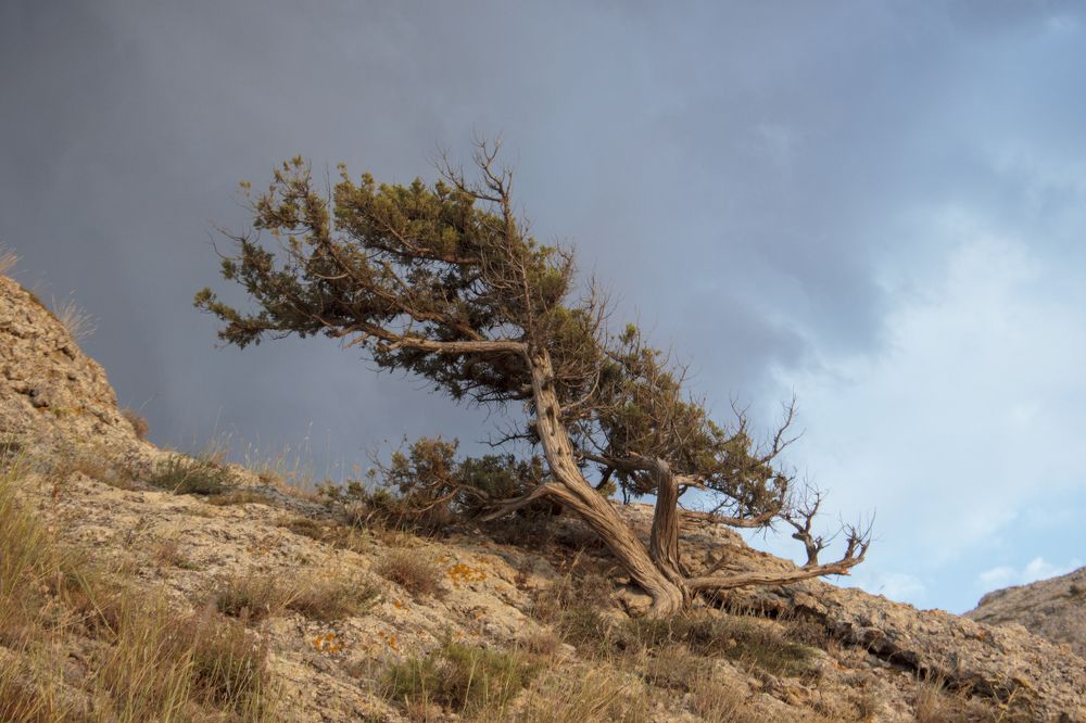 Photograph by Efremenko Nikita