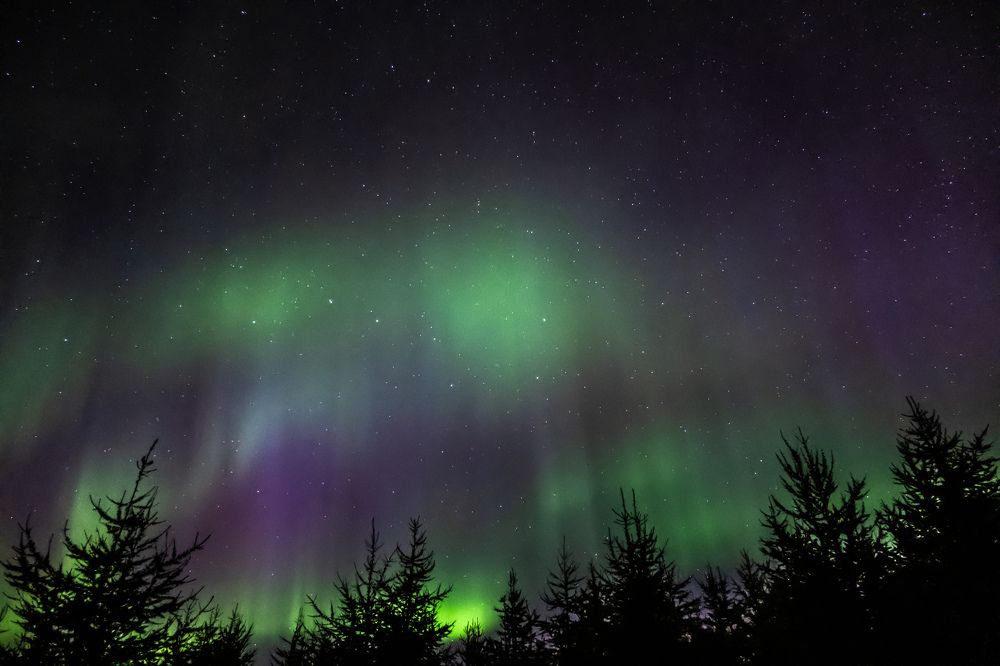 Photograph by Angela