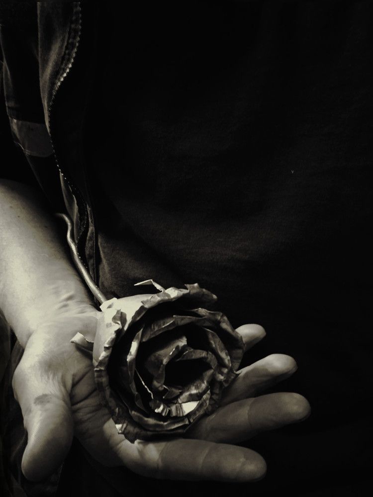 Steel rose