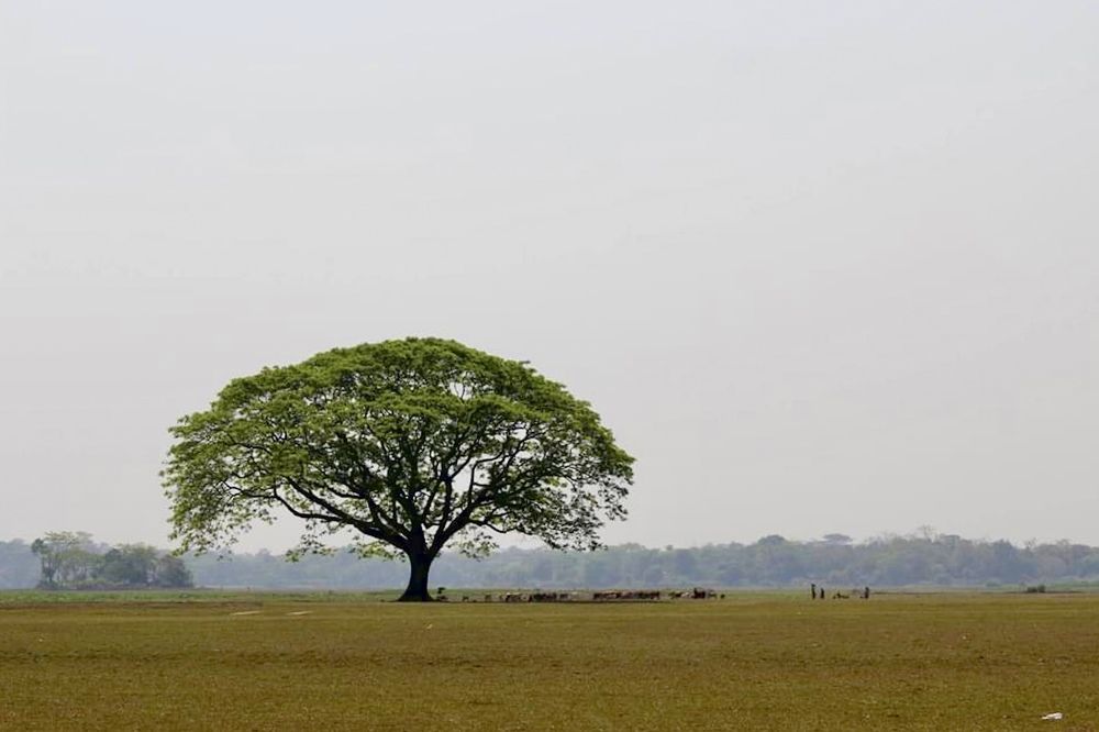 Фотография автора Sheikh Masud