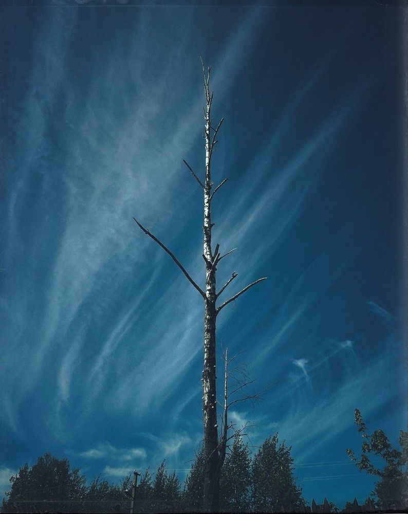 Photograph by Iuliia Akhulkova