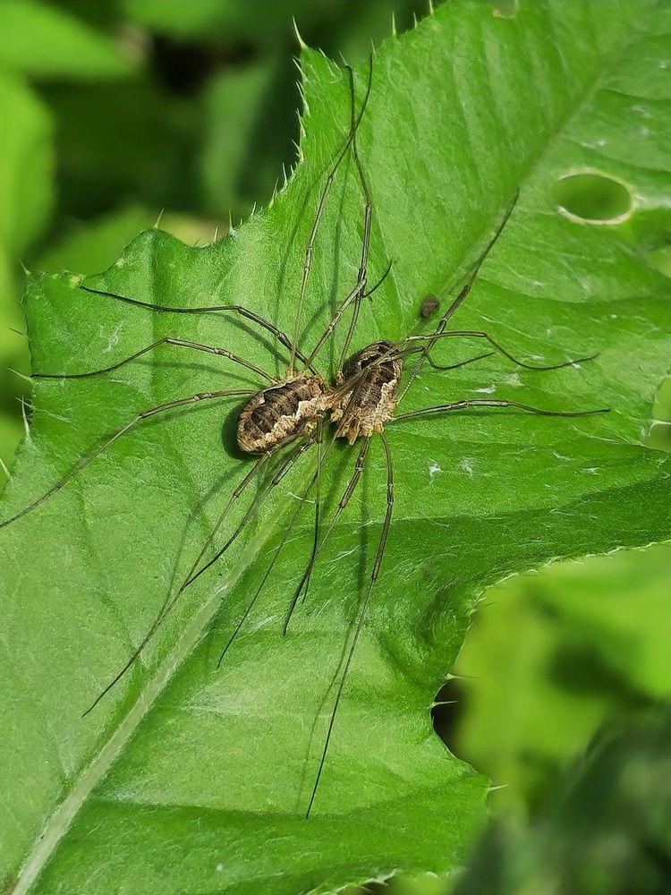 Фотография автора Ольга Быстрова