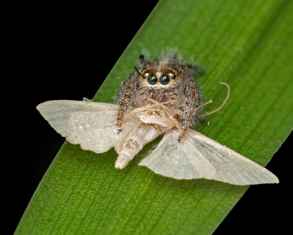 Photograph by Rachana madhav