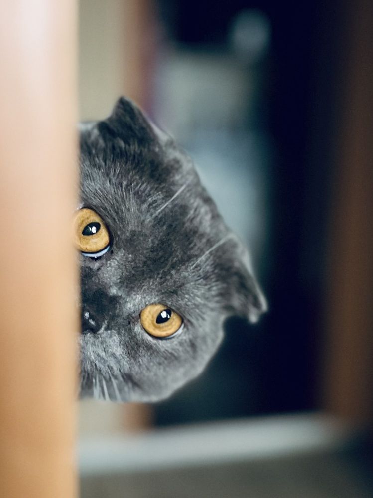 Photograph by Ольга Белоусова