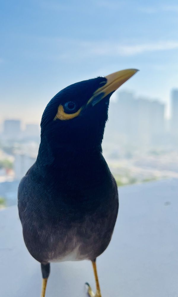 Photograph by Ольга Белоусова