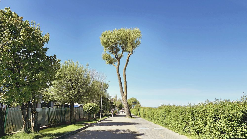 Фотография автора Бороненков Вадим