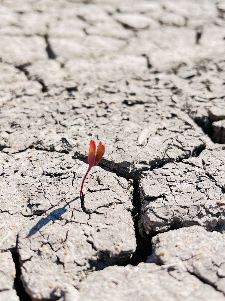 Photograph by Ольга Белоусова