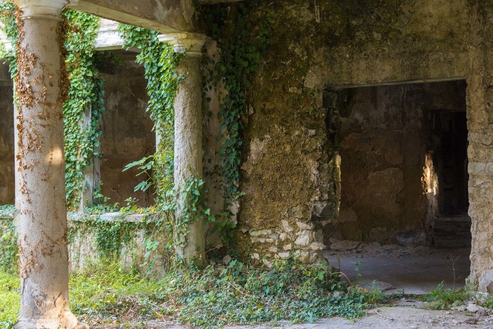 Photograph by Andrey Kim