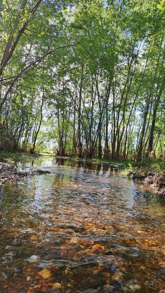 Photograph by Александра