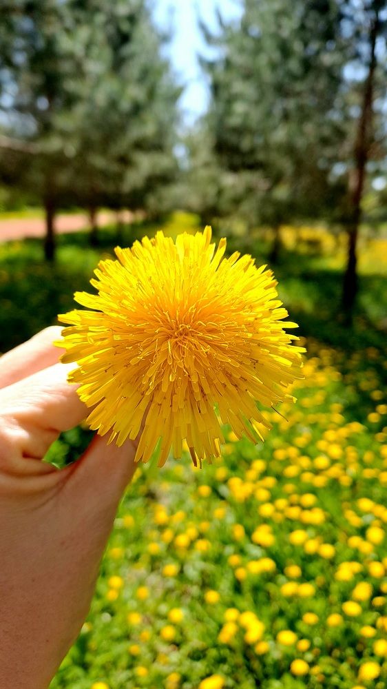 Photograph by Александра