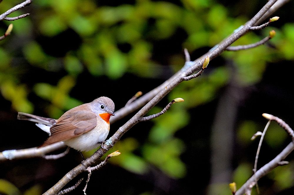 Photograph by Александр Зуев
