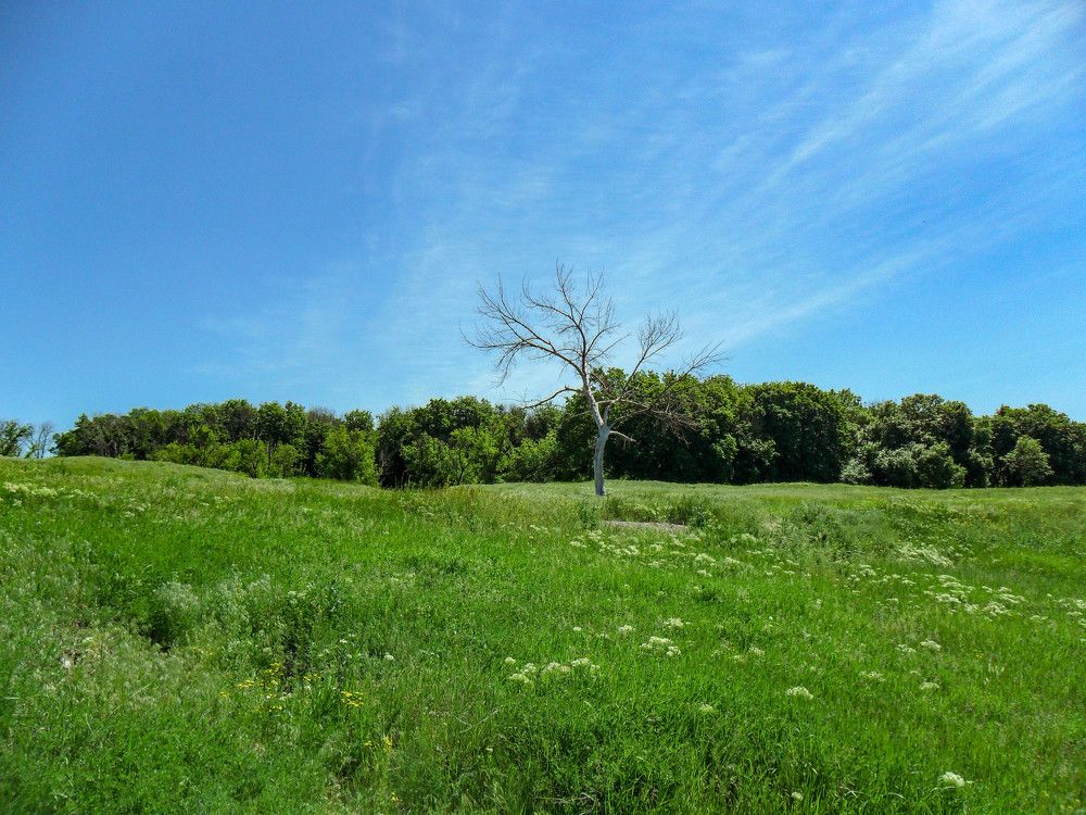 Photograph by Талисман Виталий