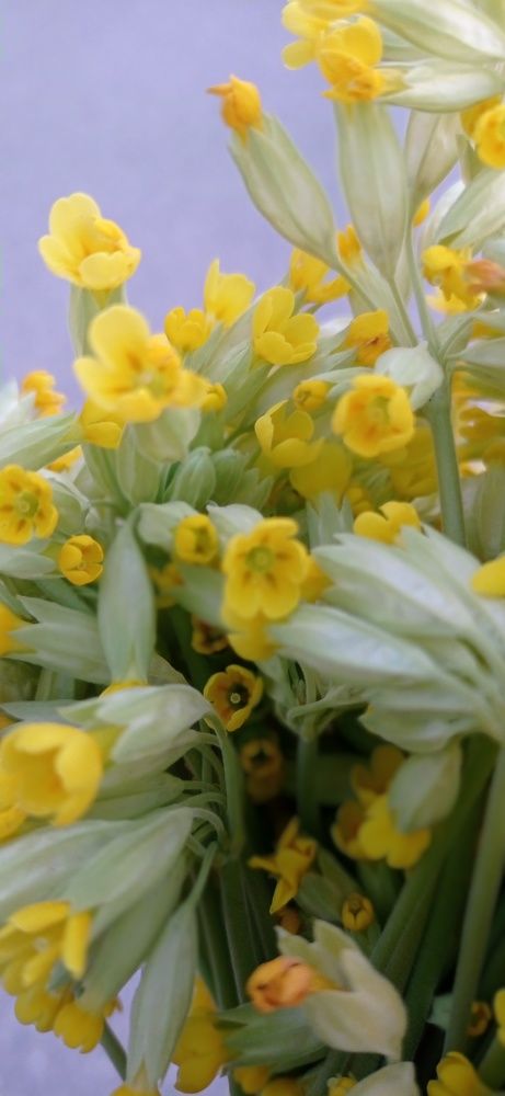 Photograph by Евгения Семёнова