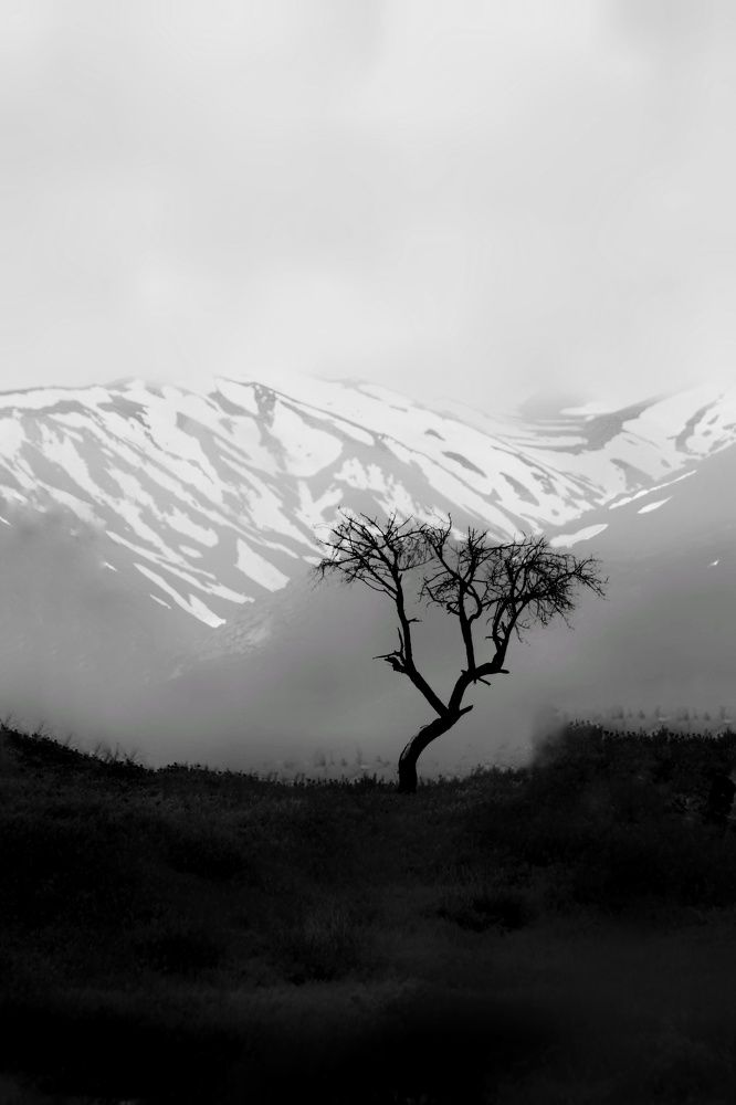 Photograph by Keyvan Hosine pour