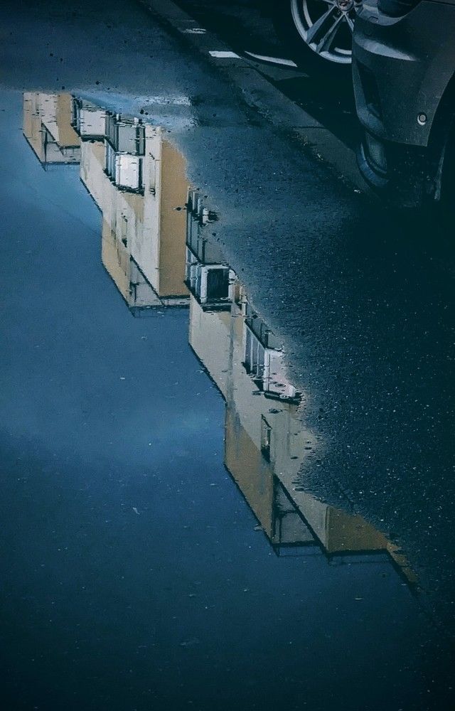 Photograph by Денис Терехин