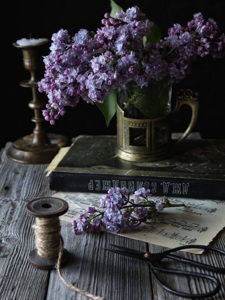 Photograph by Angelica Medvedeva