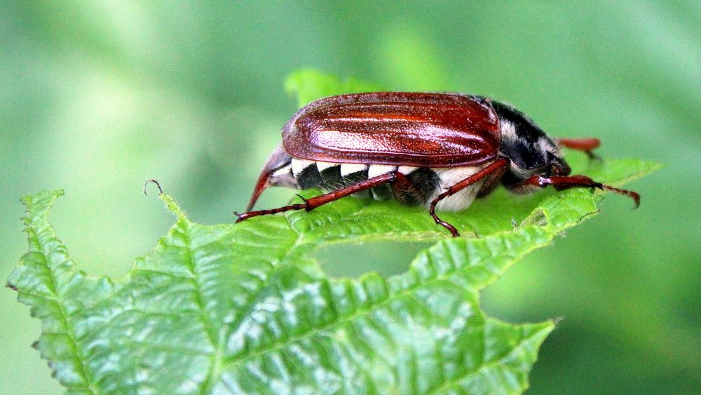 Photograph by Алексей Макаров