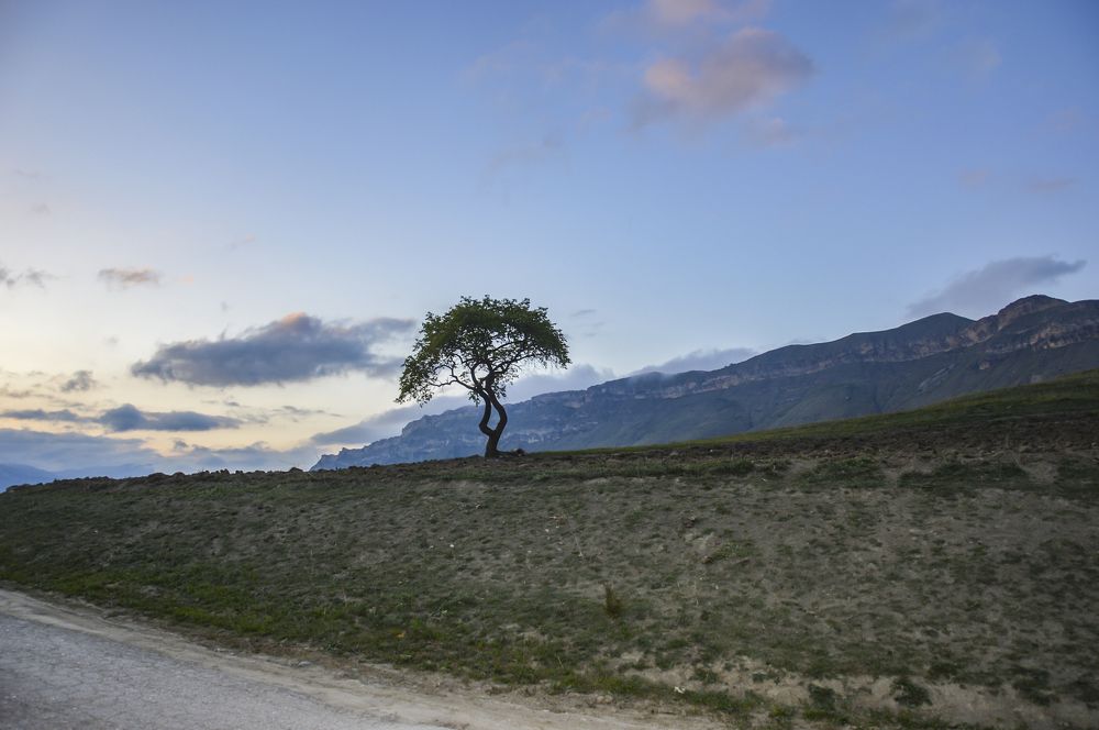 Photograph by Меркулова Наталья Геннадьевна