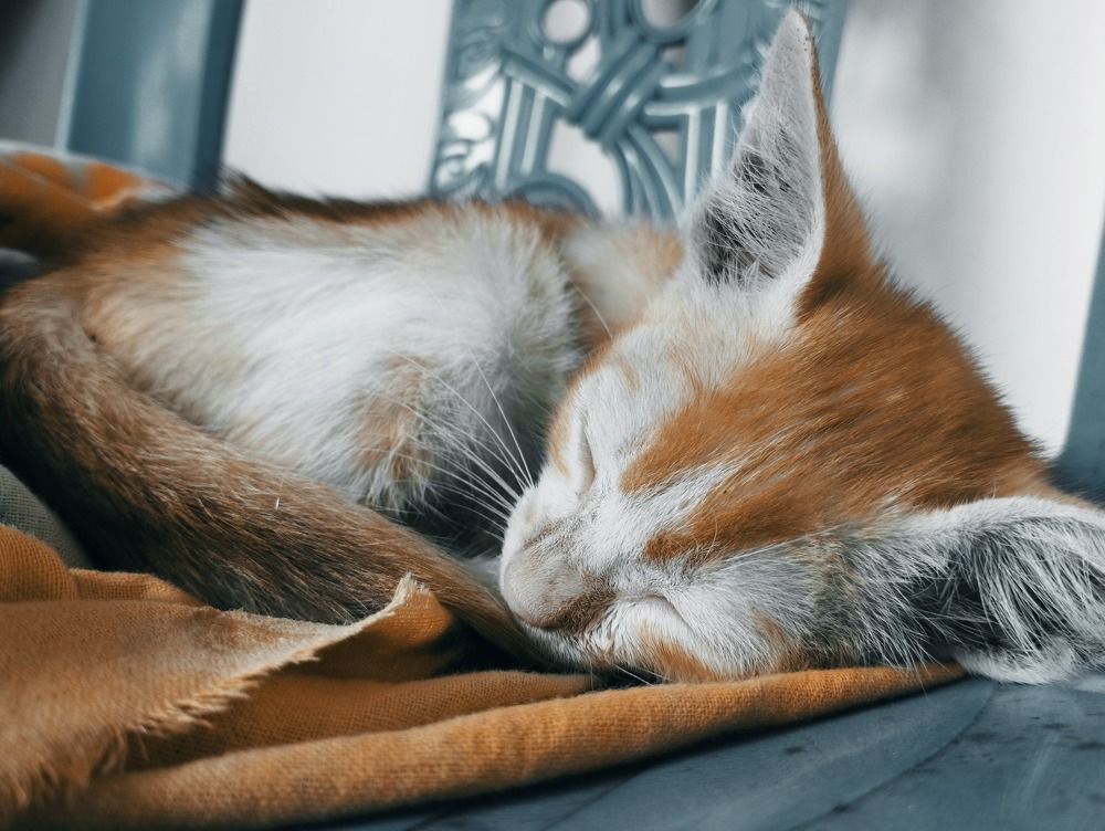 Photograph by Oviul Maruf