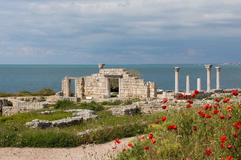 Маки Херсонеса