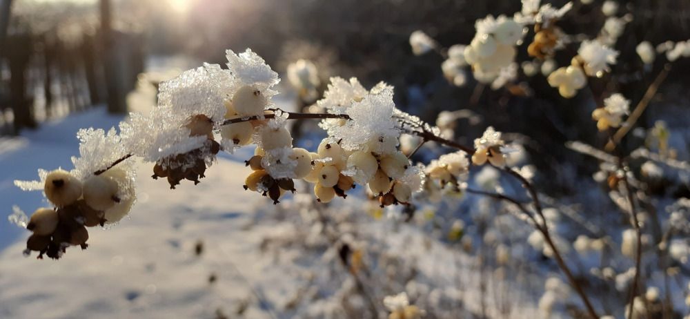 Photograph by Светлана Цапина