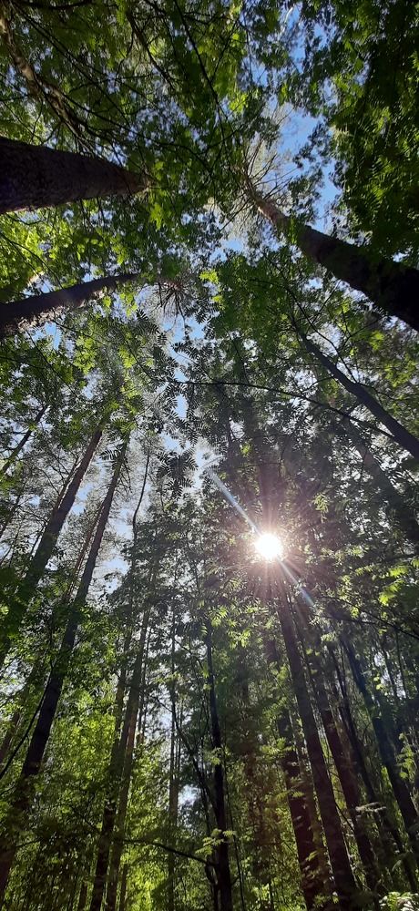 Photograph by Светлана Цапина